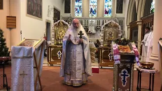 07/01/2023 - Homily - The Struggle for Peace