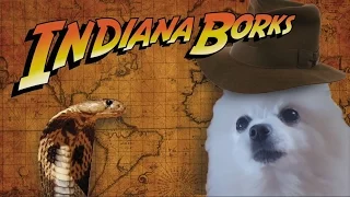 Indiana Borks