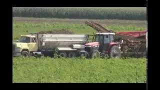 Potato Harvest 2014.