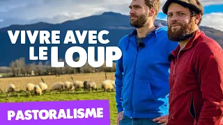 Retour du loup : l'élevage en mode protection