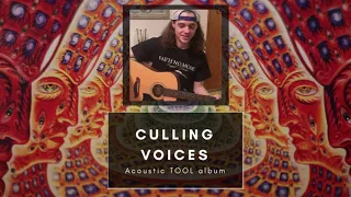 Tool - Culling Voices Cover (Acoustic TOOL Album)