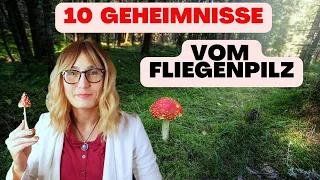 10 Geheimnisse des Fliegenpilz - Kennst du sie?