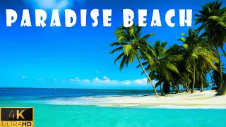 Paradise Beach Videos For Relaxation 4К 🌴🌊