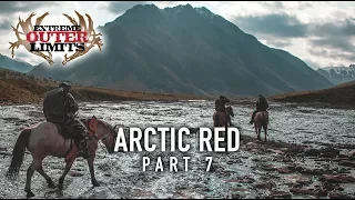 Dall Sheep, Caribou and Moose Hunting - Arctic Red Part 7