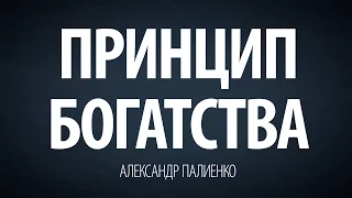 Принцип богатства. Александр Палиенко.