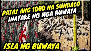 PATAY ANG 1000 NA SUNDALO NA INATAKE NG DAMBUHALANG BUWAYA