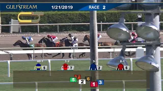 Gulfstream Park Carrera 2 - 21 de Enero 2019