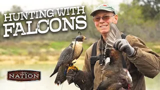 Ultimate Falconry: Duck Hunting in Texas | DU Nation