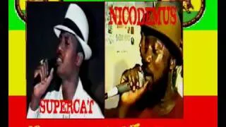 Nicodemus & Supercat - Prerogative!