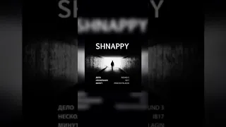 Shnappy a.k.a Satyr - Дело нескольких минут (3r17ib)