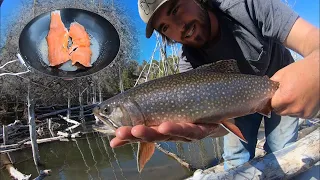 I Found a Honey Hole! Brook Trout Catch n’ Cook