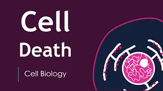 Does our cell die? Cell Death | Basic Science Series