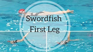 Synchronized Swimming Swordfish