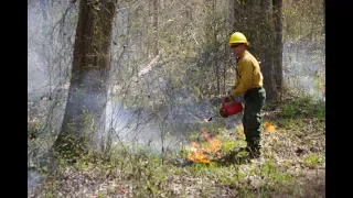 Prescribed Burning - Restoration Tool