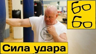 СИЛА УДАРА — популярные заблуждения! Павел Бадыров про сильный нокаутирующий удар и формулу силы