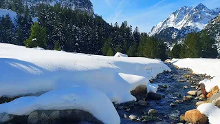 Fresh Morning Ambience Meditation ❄ Healing Sounds of a Lovely Sunny Winter Day in a Mountain River