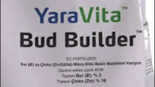 Yaravita bud builder result part 2