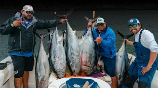 Nomad MadMacs  Bluefin Tuna Fishing  Ensenada MX
