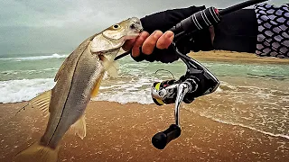 SÓ ROBALO GROSSO NA BEIRA DA PRAIA! PESCA ULTRALIGHT