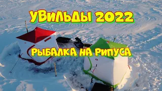 УВИЛЬДЫ 2022. Рыбалка на рипуса. Ловлю в первый раз.