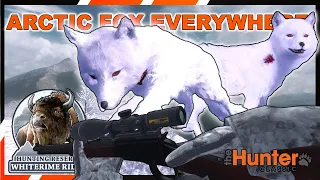 Ultimate Guide to Hunting Arctic Fox | theHunter Classic