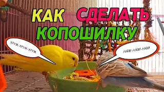 КОПОШИЛКА ДЛЯ ПОПУГАЕВ | Как сделать копошилку и что в нее положить