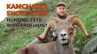 Kamchatka Snow Sheep hunting with ProfiHunt 2016