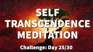 Meditation for TRANSCENDENCE - Transcendental Experience | 2022 Challenge [Day 25]  | Raphael