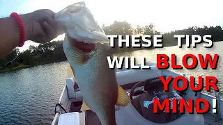 How PROS Fish A Texas Rig! The COMPLETE Guide!