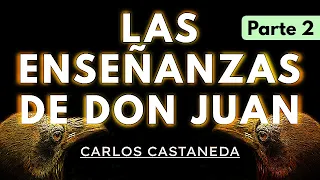 LAS ENSEÑANZAS DE DON JUAN | C. Castaneda | Parte 2 | Audiolibro completo en español | Voz humana