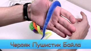 Пушистик Байла - как работает | Раскрываю секрет Magic Worm