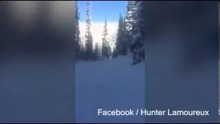 Snowboarder chases a MOOSE down a ski slope