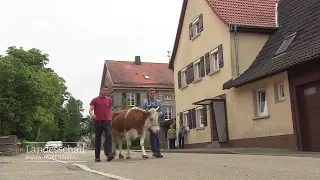 Kai aus Fichtenau bekam zur Konfirmation eine Kuh