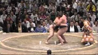 Hakuho vs Tochinoshin