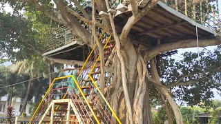 Tree house #treehouse brundavan valley resort #vizianagaram #nelimarla #sahanasmiley||teluguvlogs