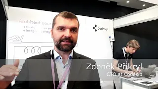 'The future is in custom compute' - eeNews interview with Zdeněk Přikryl, Codasip