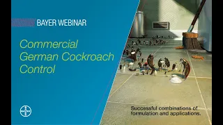 Commercial German cockroach control – successful combinations of formulation and application.