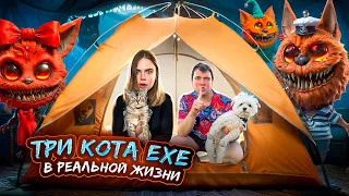 ТРИ КОТА.EXE В РЕАЛЬНОЙ ЖИЗНИ | НОЧЬ В КАРТОННОМ ДОМЕ С КОТАМИ И СОБАКОЙ