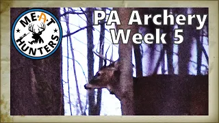 Chasing the November Rut | PA Archery Week 5