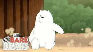 Ice Bear Shows Fighting Skills | We Bare Bears | Cartoon Network