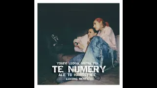 Young Leosia, bambi, PG$ - TE NUMERY (ALE TO HARDSTYLE) [LUXONS REMIX] 2024