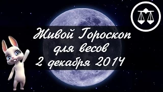 Зайка Zoobe - гороскоп для ВЕСОВ ♎ на 2 декабря