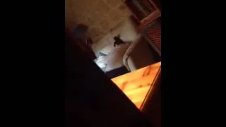 Girl faints on iPad