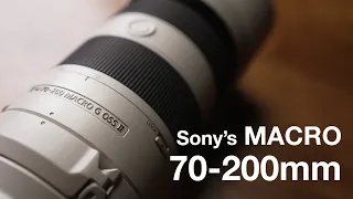 It Can Also Be A Macro Lens - Sony FE 70-200 F4 Macro G OSS II