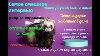 Самое смешное интервью / Почему нужно быть ЧЛЕНОМ НАШЕГО объединения / ОТЛИЧИЕ САМЦА И САМКИ