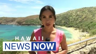 Researchers warn nearly 90% of the beach at Hanauma Bay could be submerged by 2030