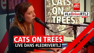 Cats On Trees interprète  "Please please please" en live dans #LeDriveRTL2 (15/11/21)