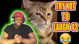 Try not to laugh CHALLENGE 42 - by AdikTheOne REACTION! (My 1st Ever!)