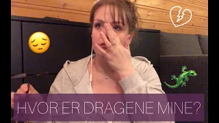 Hvor er dragene mine??