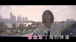 純音樂 王貳浪 ─《像魚》Wild West KTV 伴唱 Karaoke 伴奏